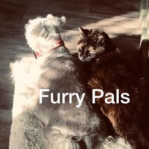 Meet your Posher, Joann